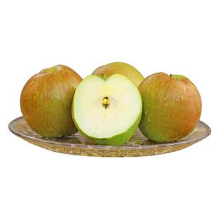 玉露香梨整箱包邮脆爽多汁果香浓郁新鲜水果当季现摘批发到家