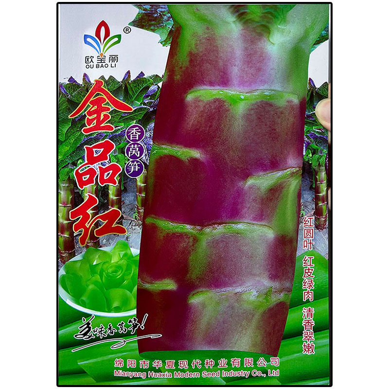 品红15g耐寒莴笋种子孑籽大圆