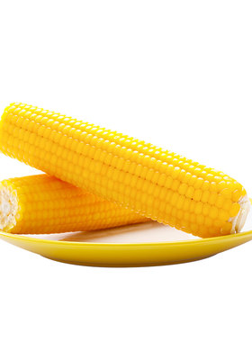 东北农嫂黄糯玉米棒 2.5kg(约8根)吉林软糯香黏吉林原产出口品质B