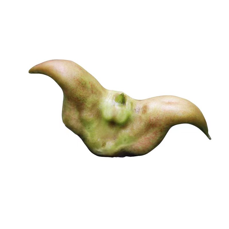 顺丰新鲜嫩菱角湖北特产生吃即食菱角