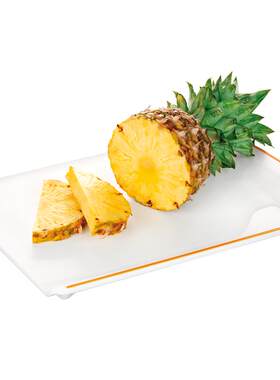 tescoma捷克塑料防滑熟食切菜板