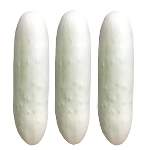 水果白瓜种子白皮白玉黄瓜秧苗多汁爽口可鲜食高产阳台蔬菜孑种植