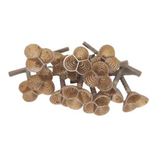 胡蜂3D人工模压蜂巢3孔红娘金环大黑尾虎头蜂筑巢箱活动区喂食笼