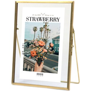 北欧金属玻璃相框摆台创意简约办公室摆件复古透明植物标本框