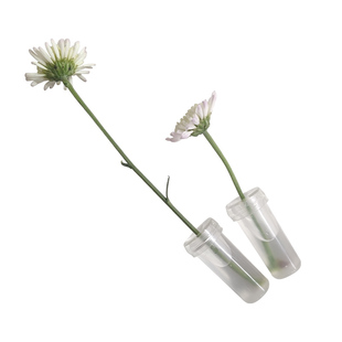 鲜花保水管营养管洋兰管保鲜液管鲜花保鲜培养管花店用品材料