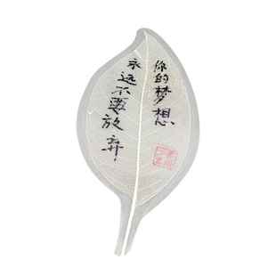 自制手工叶脉书签diy材料天然玉兰菩提树叶古典中国风创意学生用