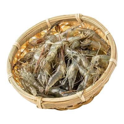 小河虾新鲜冷冻淡水小虾