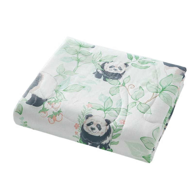 贝肽斯【薄荷】夏凉被初生婴儿专用小被子