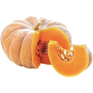 磨盘大南瓜种子巨型特甜超面大南瓜种籽高产味甜面高产南瓜蔬菜种