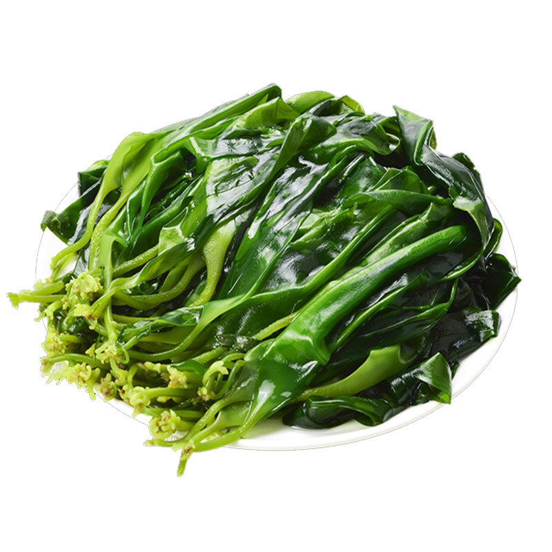 海带苗嫩特级芽火锅新鲜头茬干货霞浦三秒食材裙带菜商用500g*5斤
