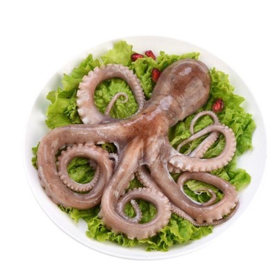 迷你八爪鱼烧烤火锅顺丰包邮