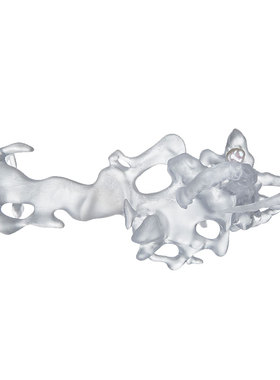 PEARLONA泛有机生物个性装饰眼镜