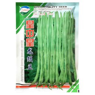 皇中皇龙须豆玉豆种籽四季豆种孑高产无筋豆菜豆豆角子种蔬菜种子