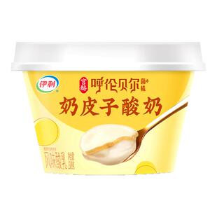伊利宫酪奶皮子酸奶138g*6杯 风味酸乳低温酸奶原味早餐佐餐