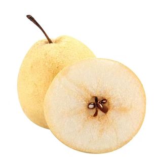 山西贡梨 应季水果梨树现摘甜梨新鲜现摘水果梨子