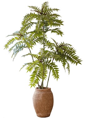 掬涵大型仿真植物盆景假绿植北欧