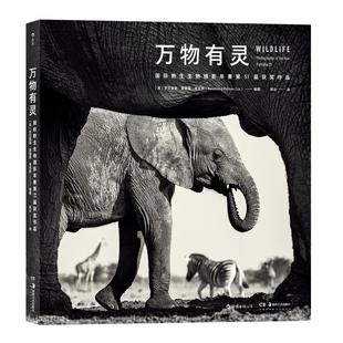 万物有灵 国际野生生物摄影年赛第51届获奖作品 动物自然户外摄影艺术图像照片集册 后浪正版现货书籍