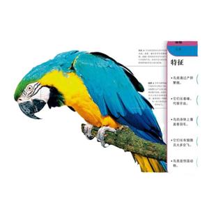 DK儿童图解百科全书 自然生命 揭秘地球植物动物王国 6-12-14岁儿童科普百科大全书 中小学生课外读物博物大百科 凤凰新华正版