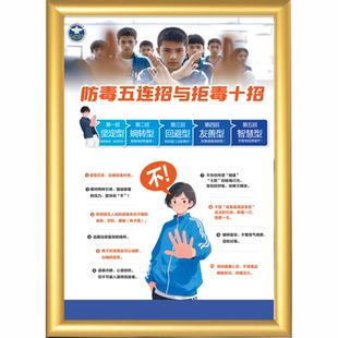 2026年国际禁毒日海报禁毒挂图禁毒知识海报禁毒宣传画禁毒标语海报挂图禁毒展板学校校园禁毒知识海报贴纸