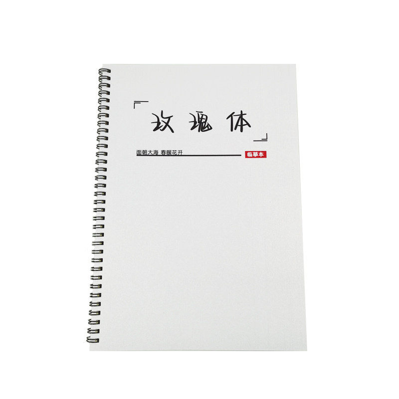 玫瑰体女生手写漂亮练字帖作文文案大报金句励志语录钢笔临摹字帖