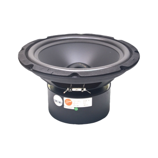 Hivi/惠威SS8IIR中低音喇叭单元发烧HIFI家用音箱