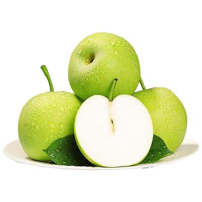 新鲜砀山青梨！脆甜多汁！现摘