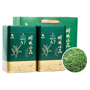 霍将军桐城小花A7A8罐装2026新茶叶绿茶明前特级自己喝送礼250克