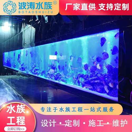 大型鱼缸专业设计保养亚克力鱼缸展览展示观赏生态大型鱼缸厂家