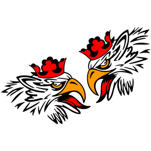 斯堪尼亚货车老鹰头像车门贴个性彩色改装饰贴防水萨博汽车身贴纸