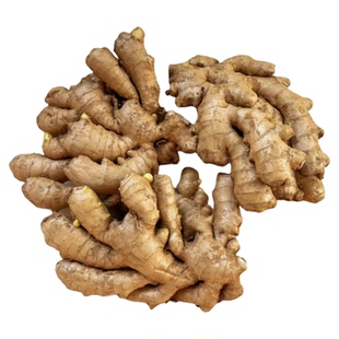 山东新鲜老生姜沂蒙山区窖藏现挖农家自种无硫土姜月子姜批发包邮