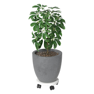 圆形底座花架家用花盆托架客厅阳台置物架室内花盆架小型花架