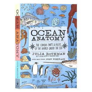 茱莉亚罗斯曼解剖学系列海洋解剖学 英文原版 Ocean Anatomy 儿童插图科普启蒙读物 探索海底世界的奇妙部分 平装 Julia Rothman