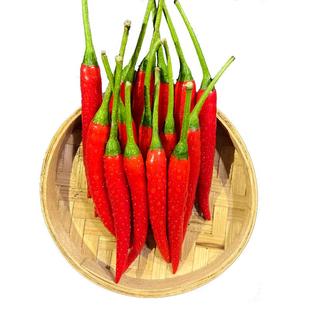 小米辣椒新鲜特辣红辣椒批发蔬菜现摘朝天椒指天椒农家自种小米辣