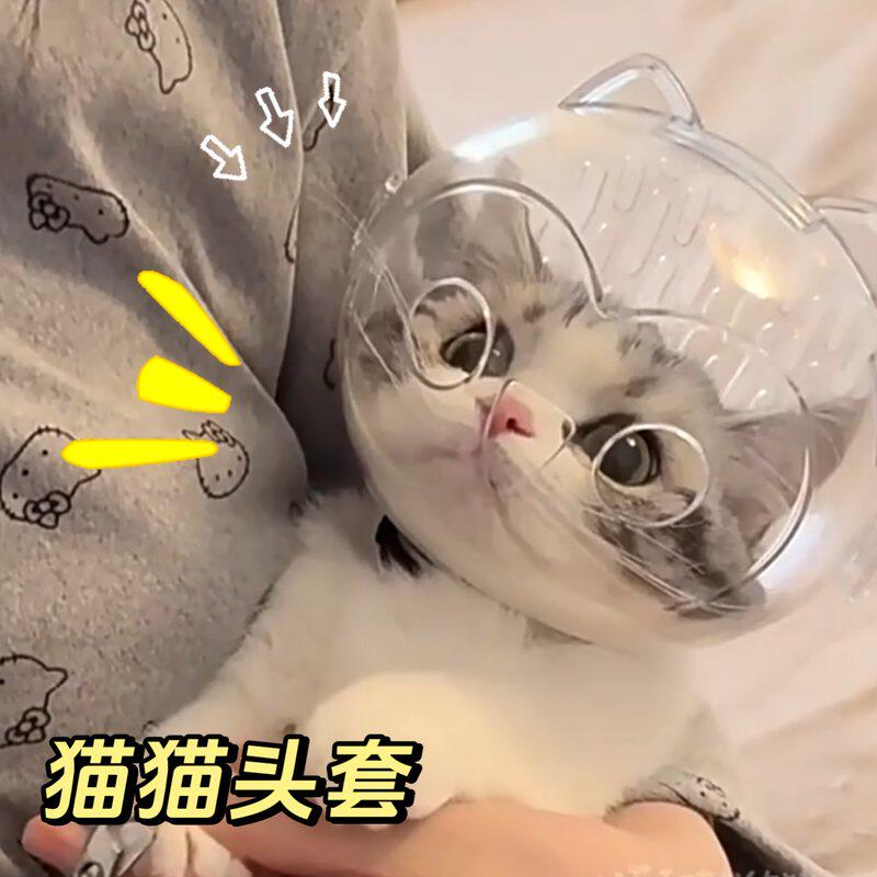 猫咪太空头罩防咬头套洗澡剪指甲防抓舔神器宠物嘴套伊丽莎白圈