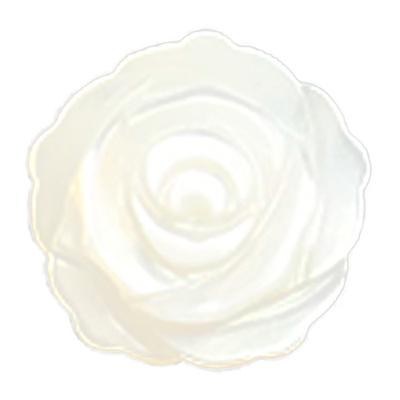 宝琳贝壳花磁力胸针防走光不伤衣