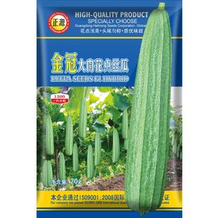和利农 正源金冠大肉花点丝瓜种子棱丝瓜苗角瓜四季蔬菜孑种籽子