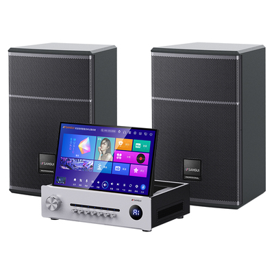 C13山水12吋专业家庭KTV音响套装