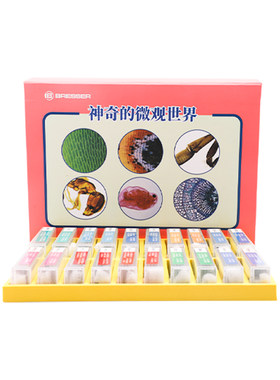 德国标本生物切片真实植物细胞