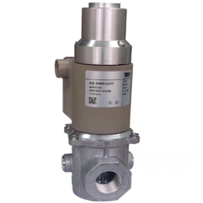 议价慢开电磁阀SG15RS/220T SG20RS/220T SG25RS/220T