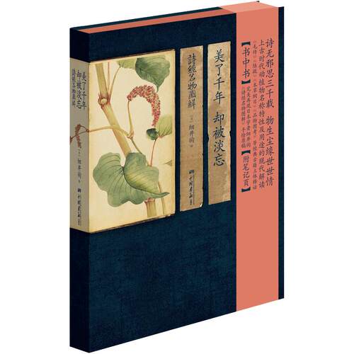 【精装彩绘】美了千年却被淡忘 诗经名物图解古诗词动植物手绘书籍花开未觉几回清梦四时花草风吹兰芷芳华如故楚辞草木画谱