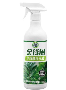 免稀释营养液发财树专用
