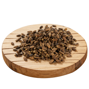 鸟粮虎皮鹦鹉饲料水飞蓟籽训练奖励零食牡丹小太阳玄凤专用奶蓟籽