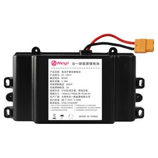 阿尔郎电动平衡车锂电池合一36v通用安派新能源42v电瓶组原装配件