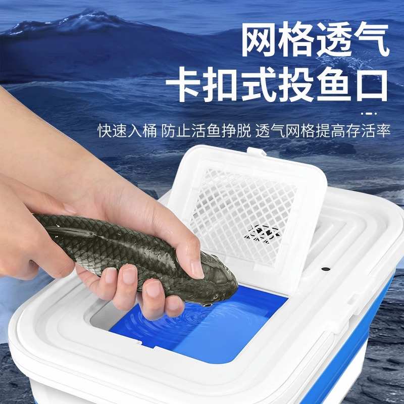 钓鱼桶可折叠装鱼箱手提水桶路亚装备多功能钓箱加厚便携活鱼桶