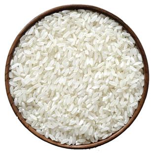 2025年新米东北黑龙江原粮稻花香2号五常大米5kg真空现磨米19266