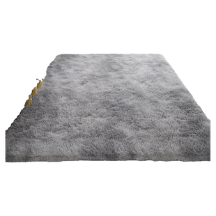 地毯卧室满铺北欧ins客厅茶几床边少女房间床下毛绒网红毛毯地垫