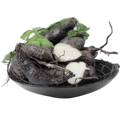 中药材浙江三叶青金线吊葫芦