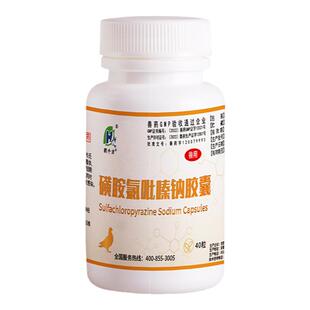 兽药兽用磺胺氯吡嗪钠胶囊家禽小鸡药鸭鹅鸽子赛鸽血便球虫药白冠
