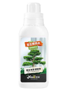 悠利雀舌黄杨植物营养液