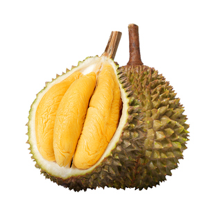 市舶士马来西亚进口D197猫山王畅享口粮果榴莲液氮冷冻顺丰包邮